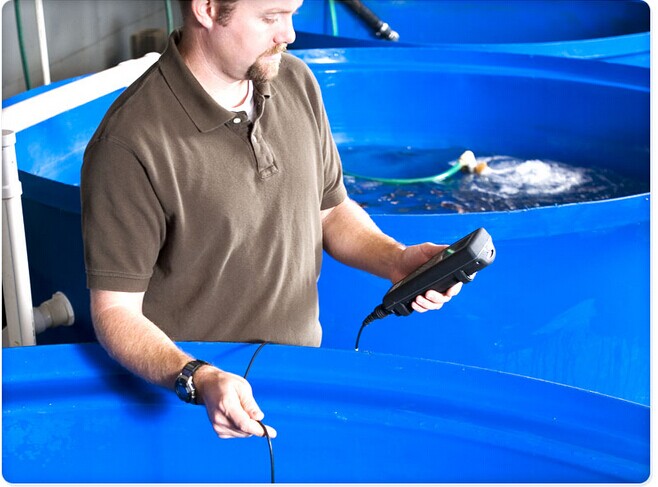 美國YSIPro20溶解氧測量儀