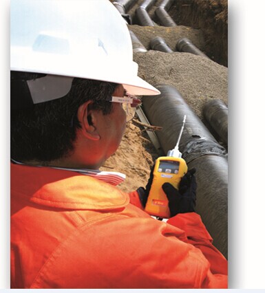 美國(guó)華瑞VRAE 五合一氣體檢測(cè)儀PGM7800 7840